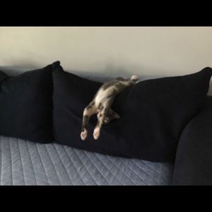 Meet your Posher, Kathy